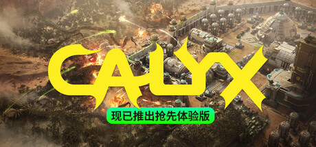 星萼 / Calyx